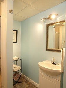 vacant home staging - Lower level bathroom