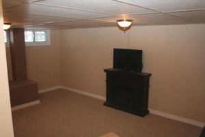vacant home staging - rec room before
